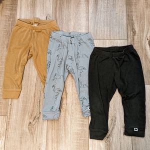 Little & Lively leggings